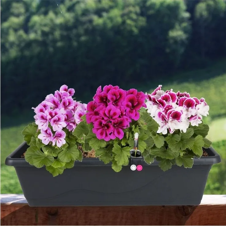 Blumenkasten anthrazit 59cm mit Bewässerung Balkonkasten Pflanzkasten Blumentopf