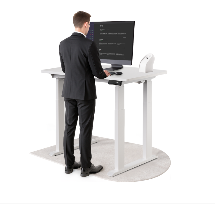 DESKSPACE Höhenverstellbarer Schreibtisch elektrisch mit leisem Dual-Motor – stabiles 4-Bein-Gestell (Weiß Gestell, Weiß Tischplatte, 120×60 cm)
