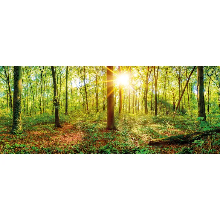 Wald Leinwandbild Grün Braun 100x40 DD123203 Keilrahmenbild Wandbild Leinwand