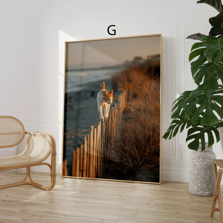 Tropen Poster · Geschenkidee · Palmen Blumen Strandlandschaften · Dekoprint ohne Rahmen - G / 100x150 cm