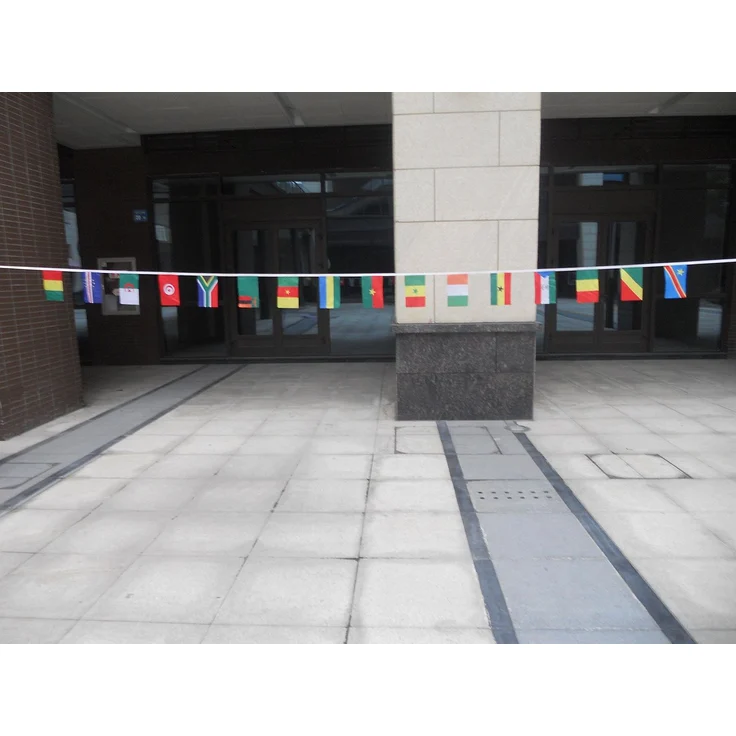 AZ FLAG Wimpelkette Fußball-Afrikameisterschaft 2015 5 m 16 Flaggen