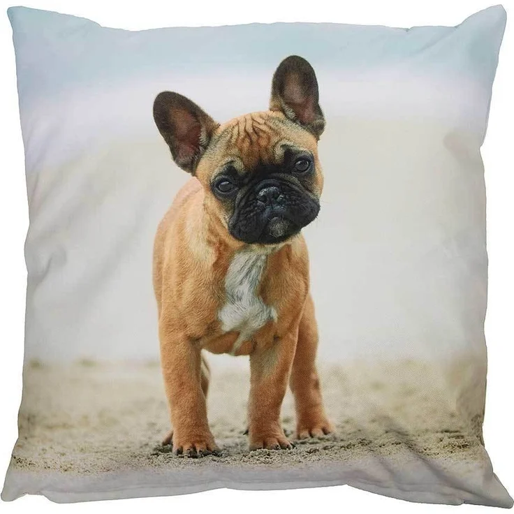 Outdoor Kissen Hundemotiv Dogge Gartenkissen Hund Wasserabweisend 40 x 40 cm