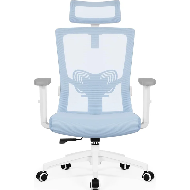Daccormax Bürostuhl Ergonomisch, mit verstellbarer Kopfstütze, Lendenwirbelstütze & Wippfunktion, Mesh blau, 70 x 70 x 128 cm – Bild 1
