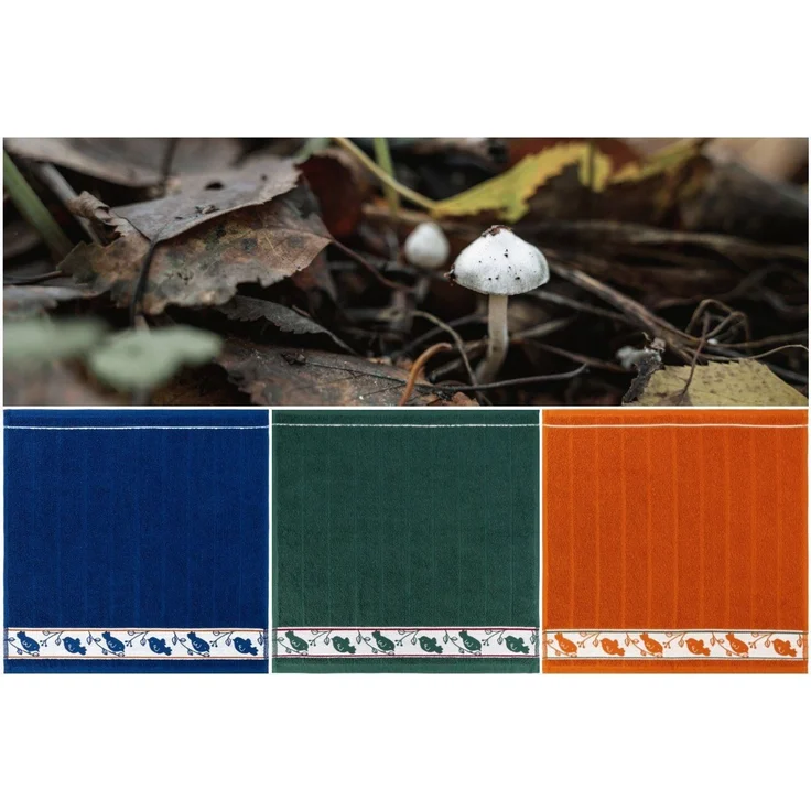 Kracht Geschirrtuch Piepmatz, (Set, 3-tlg, Set), 3er Pack Frottee Küchenhandtücher (3 Stück) ca. 50x50 cm Baumwolle – Bild 3