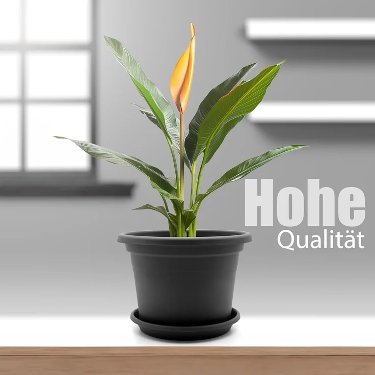 BigDean 8 Stück Blumentopf mit Untersetzer rund ø 20 cm Anthrazit – wetterfester Pflanzkübel Made in Europe – Bild 2