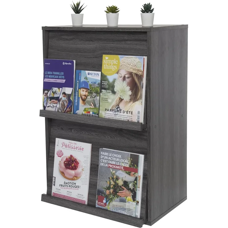 Iris Ohyama, Möbel, Bücherregal, Aufbewahrungsregal, 2 Klapptüren, Design, Modern, Mehrzweck, Büro, Schlafzimmer, Wohnzimmer - Flap Rack CHR-2 - Eiche Grau