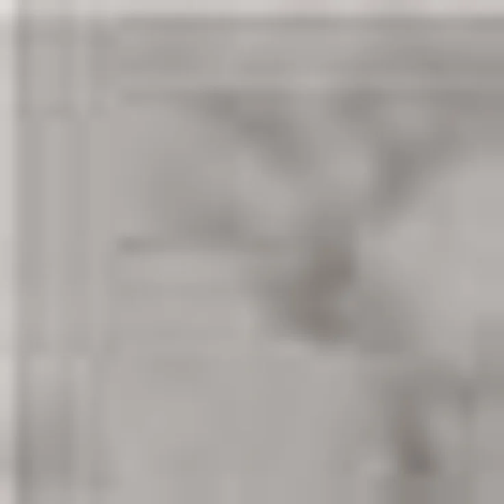 SCHÖNER WOHNEN-Kollektion Fellteppich Tender, fellförmig, Höhe: 26 mm, weich durch Microfaser, Kaninchenfell Haptik, Kunstfell, waschbar – Bild 3