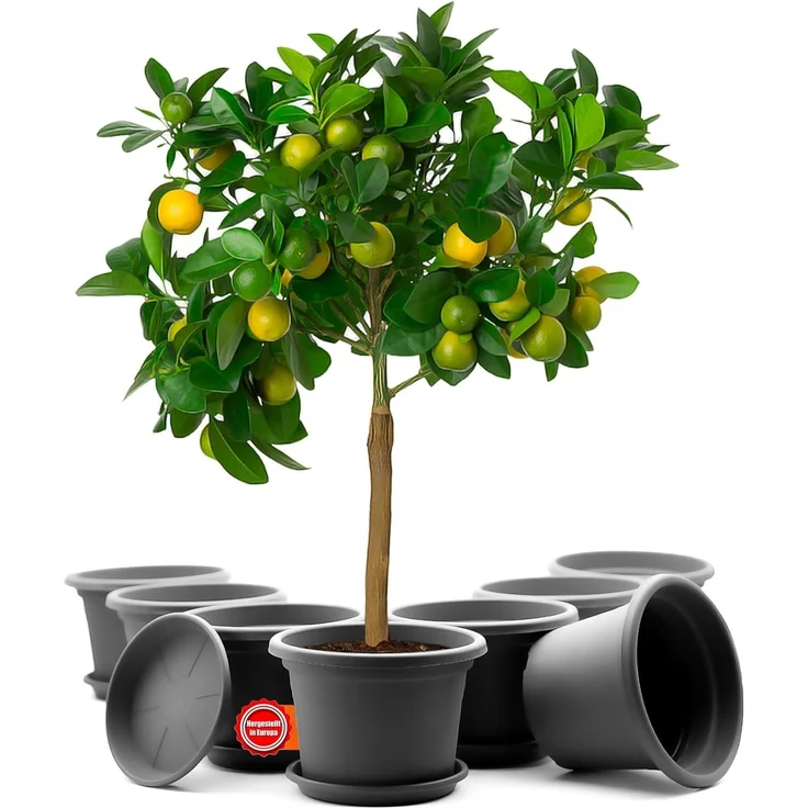 BigDean 8 Stück Blumentopf mit Untersetzer rund ø 35 cm Anthrazit – wetterfester Pflanzkübel Made in Europe