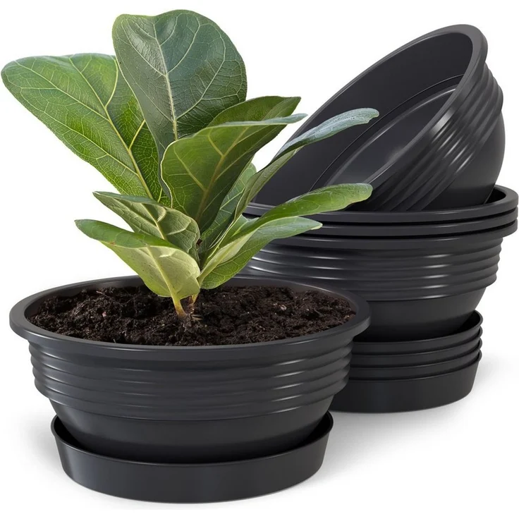 Plastard Pflanzschale 3er, 5er Set Blumenschale verschied. Größen Pflanzgefäß aus Kunststoff (Set, 5 St, Pflanzschale mit Untersetzer), UV-beständig, witterungsbeständig, Optionale Drainagelöcher – Bild 1