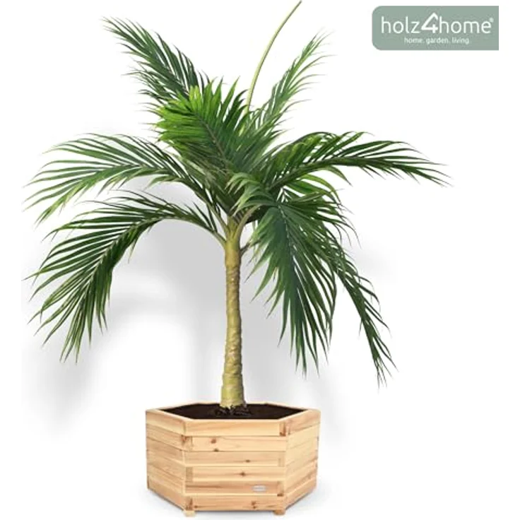 holz4home® Pflanzkübel 6-eckig aus Tannenholz I Outdoor Blumenkübel für Garten Balkon, inkl. Gartenhandschuhe & Vlies – Bild 8