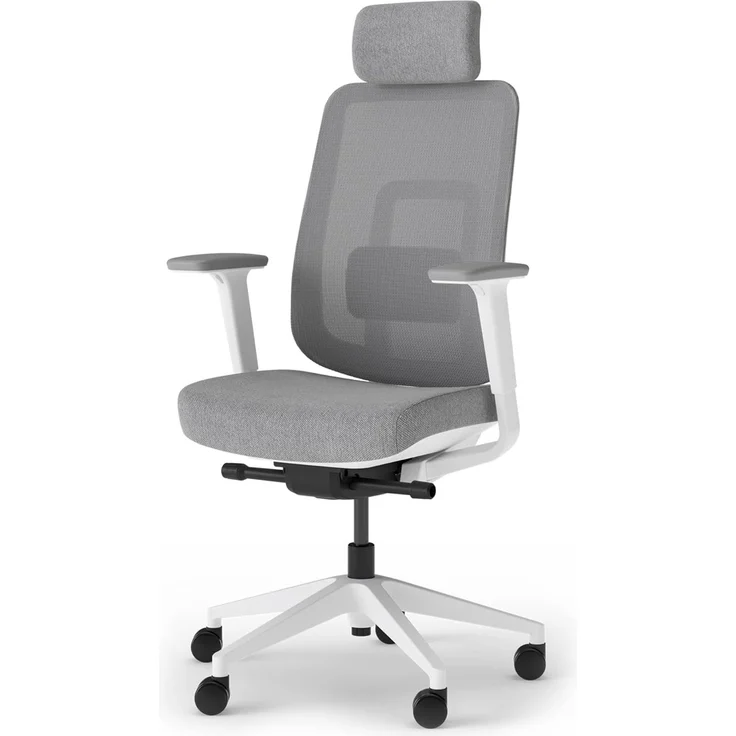 Ergotopia 'PureBack' ergonomischer Bürostuhl mit Lordosenstütze & 4D-Armlehne, Grau, mit Kopfstütze – Bild 1