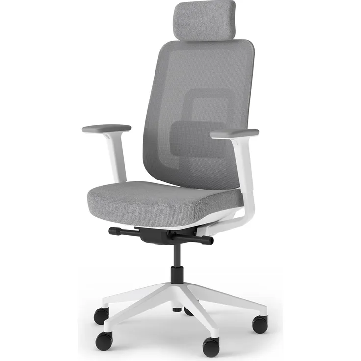 Ergotopia 'PureBack' ergonomischer Bürostuhl mit Lordosenstütze & 4D-Armlehne, Grau, mit Kopfstütze