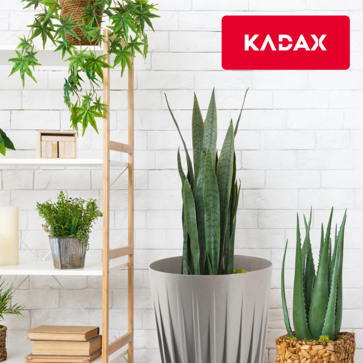 KADAX Blumentopf Eco Cover + grauer Einsatz 30x36 cm – Bild 7