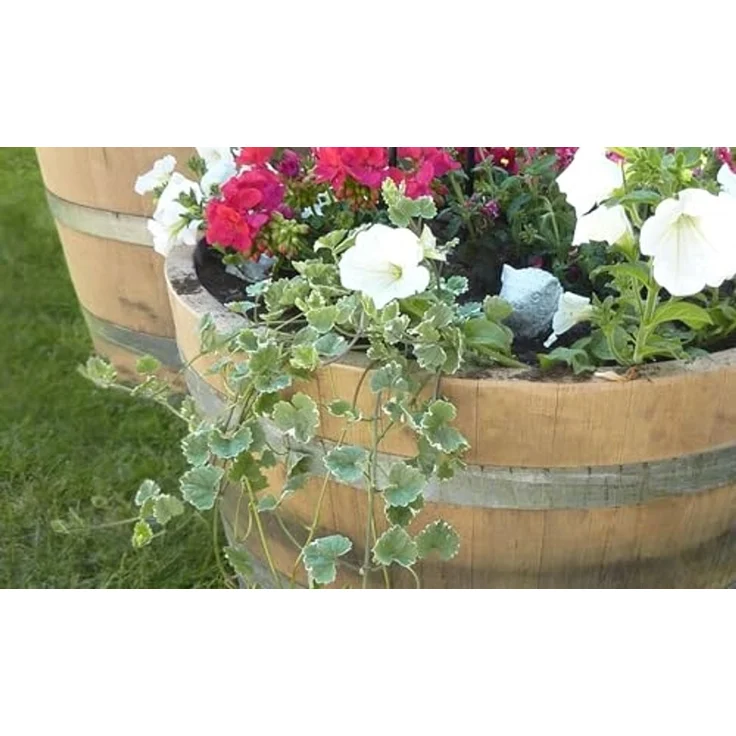 Temesso Pflanzkübel D 70cm - Halbiertes Weinfass als Miniteich - D70cm H40 100L Inhalt – Bild 7