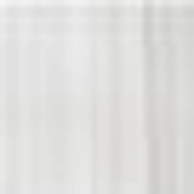 HOME WOHNIDEEN Vorhang ALPHA (1 St), Schlaufen, transparent, Voile, HxB: 245x140, preisgünstiger Uni-Schlaufenschal – Bild 3
