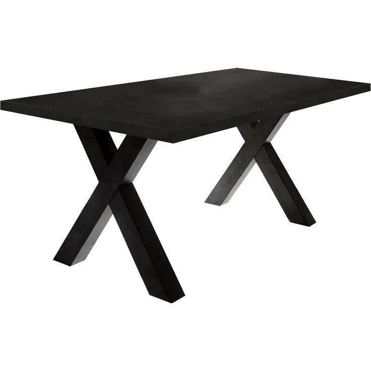 Esszimmertisch Eike 8 200 x 100 x 75 Esstisch Schwarzstahl 13451-200