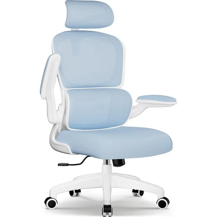 Homimaster Bürostuhl Bürostuhl, Schreibtischstuhl Ergonomisch mit Klappbaren Armlehnen (Bürostuhl mit Verstellbarer Kopfstütze, 90° Klappbare Armlehnen und Lendenwirbelstütze, Höhenverstellbarer Chefsessel aus Mesh), Bürostuhl mit maximaler Neigung von...