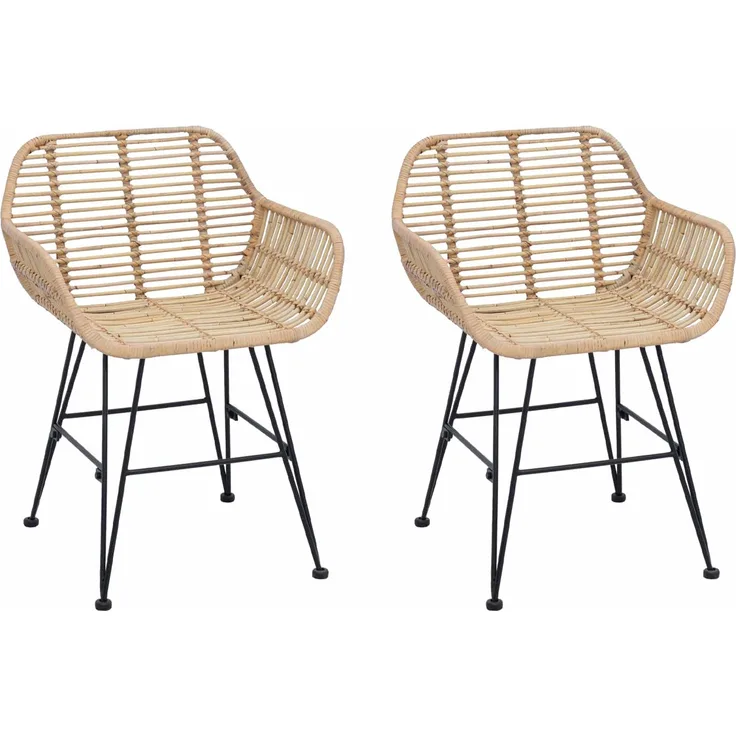 vidaXL Esszimmerstuhl 2 pcs Natur 55 x 50 x 74 cm Rattan und Eisen 42011556