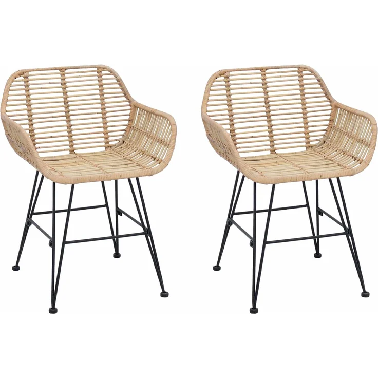 vidaXL Esszimmerstuhl 2 pcs Natur 55 x 50 x 74 cm Rattan und Eisen 42011556 – Bild 1