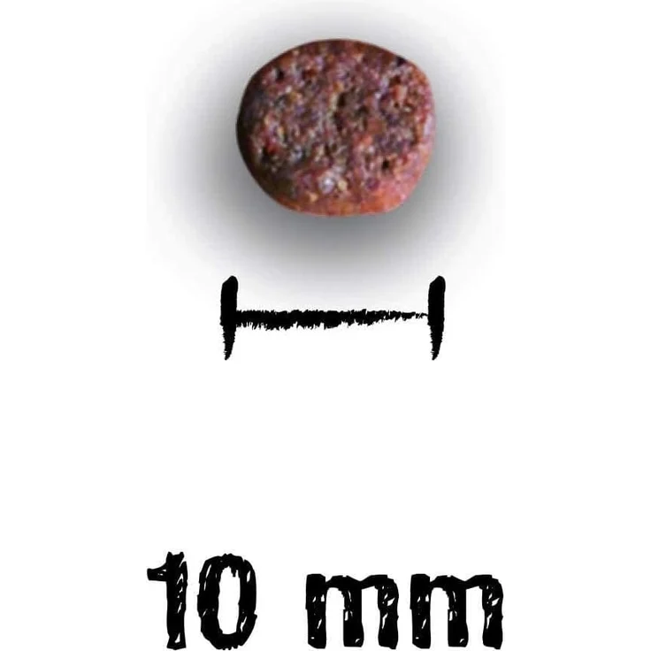 Leonardo Adult Ente 2 kg – Bild 4
