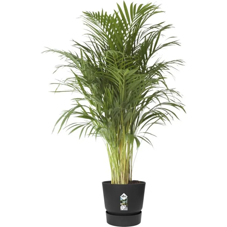 Elho Pflanztopf Greenville Ø 47 x 44 cm living schwarz