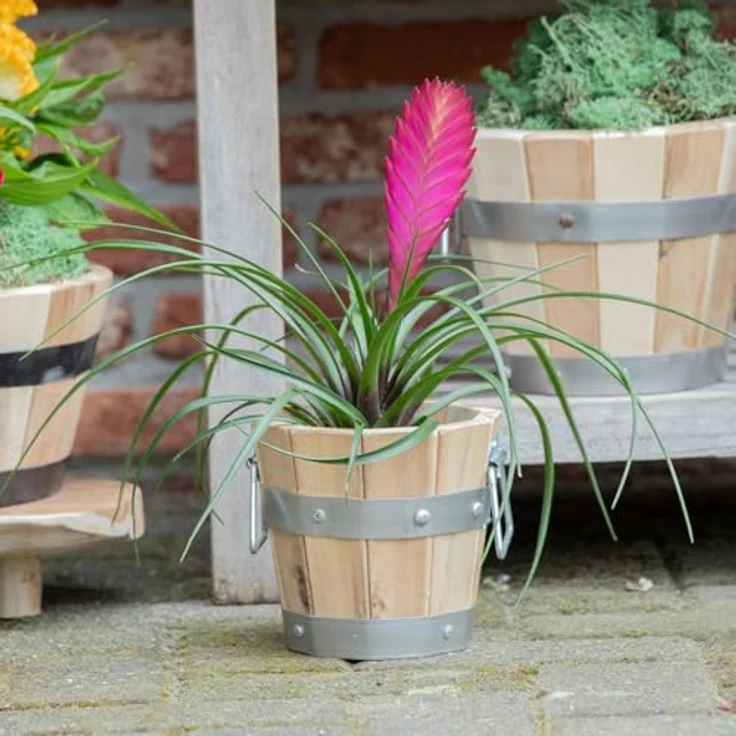 colourliving Pflanzkübel Pflanztopf rund mit Griffen, FSC Akazienholz, Blumenkästen aus Holz, integriertes Entwässerungsloch, metallverstärkte Konstruktion – Bild 6