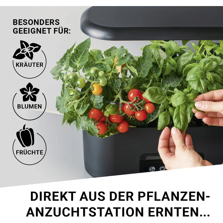 N8WERK Anzuchttablett N8WERK Pflanzenanzuchtstation Ersatzset 28 Stück – Bild 5