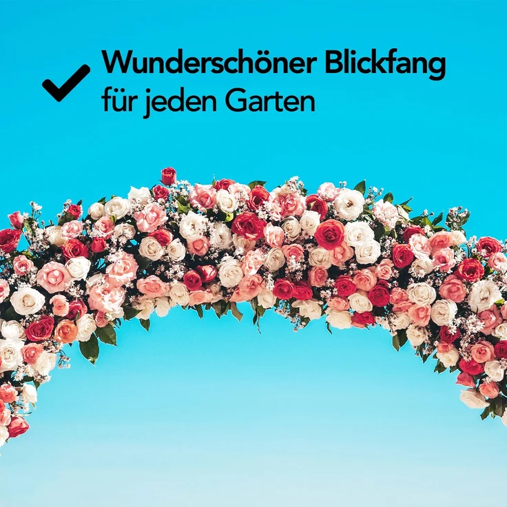 Brixy - Rosenbogen - Gartenbogen - Rankhilfe - Blumenbogen - Für Kletterpflanzen - Metall - 240 x 140 x 38 cm - Schwarz – Bild 7