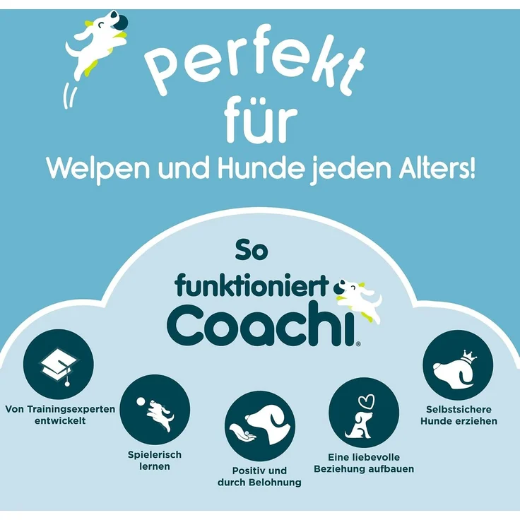 Coachi Glocken für Toilettentraining dunkelblau/hellblau, 90 x 2,5 cm – Bild 6