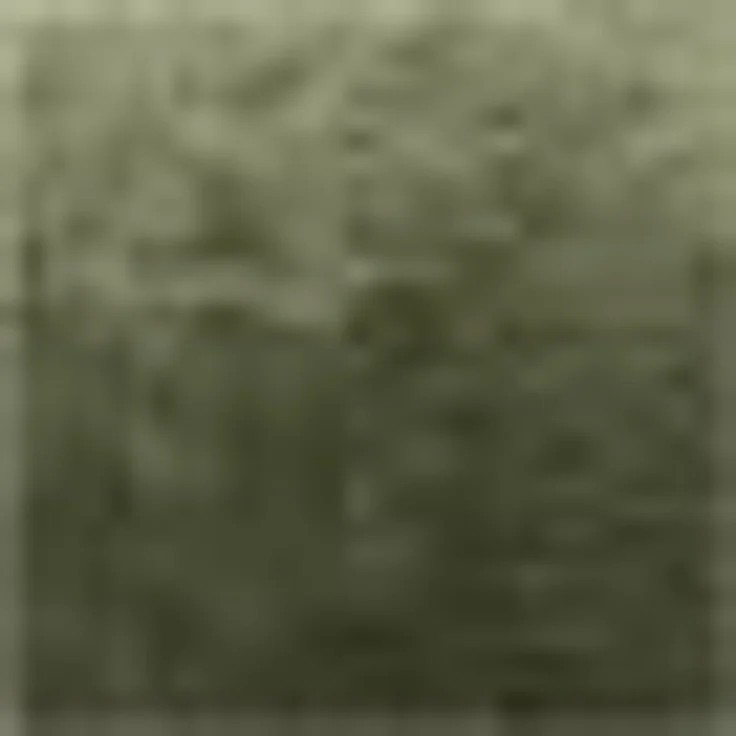 Kleine Wolke Handtücher Royal, 1 Stück (50/100 cm), Frottier (1-St), Uni Farben, mit Bordüre, weich, auch in verschiedenen Sets erhältlich – Bild 2