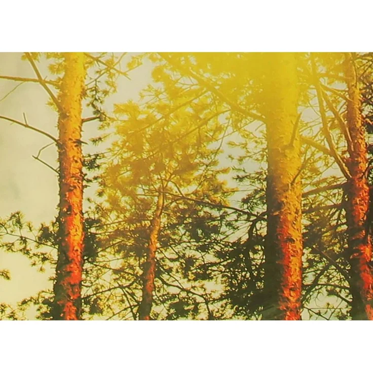Sonnenschirm Malaga 300/8 Forest rund, Ø ca. 300 cm – Bild 11