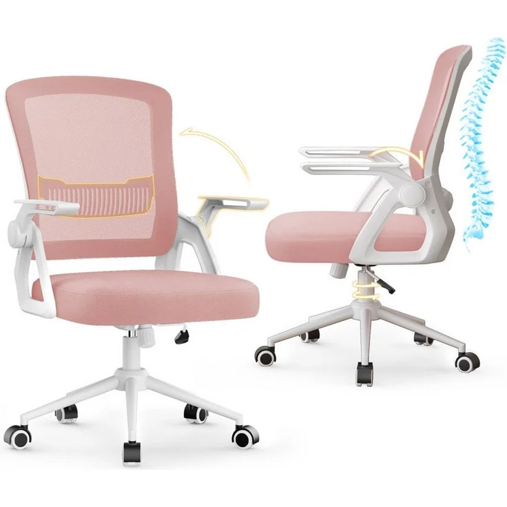 ZAISZE Bürostuhl Ergonomischer Bürostuhl mit Mesh-Rückenlehne und Lendenstütze (Verstellbarer Armlehnen, Atmungsaktiv, Höhenverstellbarer Schreibtischstuhl mit 90° Klappbaren Armlehnen), Verlängerte und Verbreiterte Rückenlehne, Drehstuhl fürs Homeoffice – Bild 1