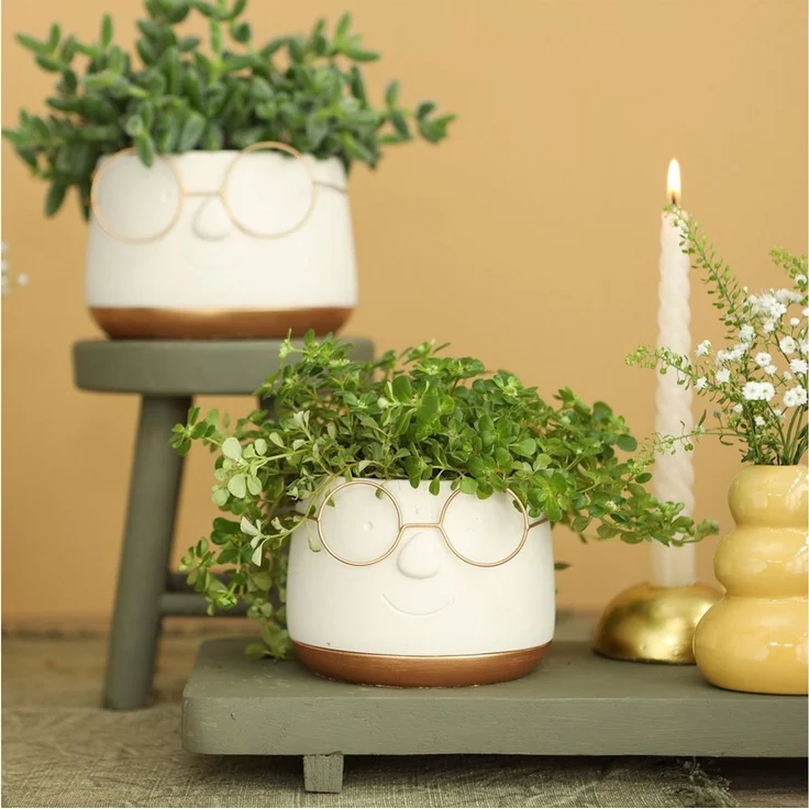Annastore Übertopf Blumenübertöpfe in witzigem Design (Übertöpfe für Zimmerpflanzen), Blumentöpfe - Übertöpfe aus Keramik - Lustige Blumentöpfe – Bild 2