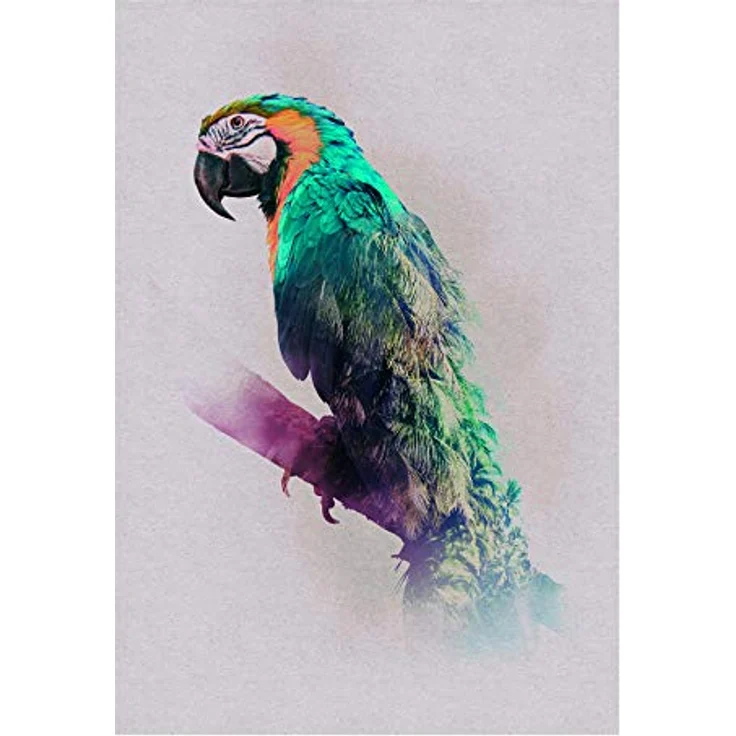 Komar Animals Paradise Parrot, Wandbild im Format 50x70 cm, farbenfroher Kunstdruck ohne Rahmen, Premium-Poster Fotopapier, lichtbeständig, made in Germany – Bild 1