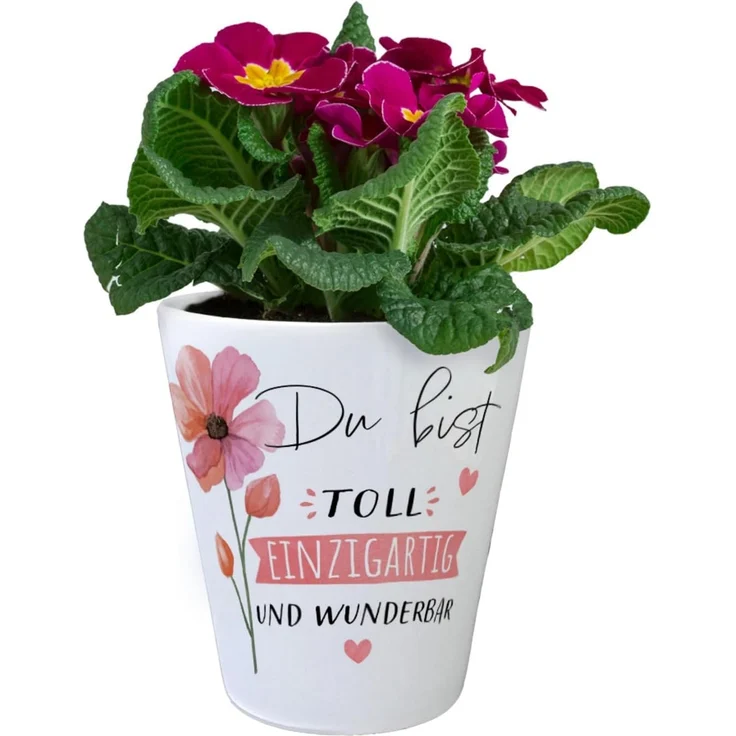 speecheese Blumentopf Blume Blumentopf mit Spruch Du bist toll einzigartig und wunderbar – Bild 2