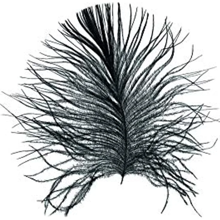 Komar Feather White Wandbild,Poster 50x70 cm,Seidenmatter Kunstdruck, ohne Rahmen, hochwertiges Fotopapier, Lichtbeständig, für Wohnzimmer und Schlafzimmer
