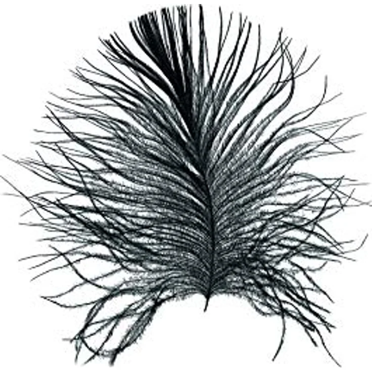 Komar Feather White Wandbild,Poster 50x70 cm,Seidenmatter Kunstdruck, ohne Rahmen, hochwertiges Fotopapier, Lichtbeständig, für Wohnzimmer und Schlafzimmer – Bild 1