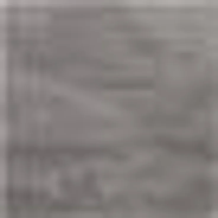 SCHÖNER WOHNEN-Kollektion Fellteppich Tender, rechteckig, Höhe: 26 mm, besonders weich durch Microfaser, Kunstfell, waschbar, Wohnzimmer – Bild 3