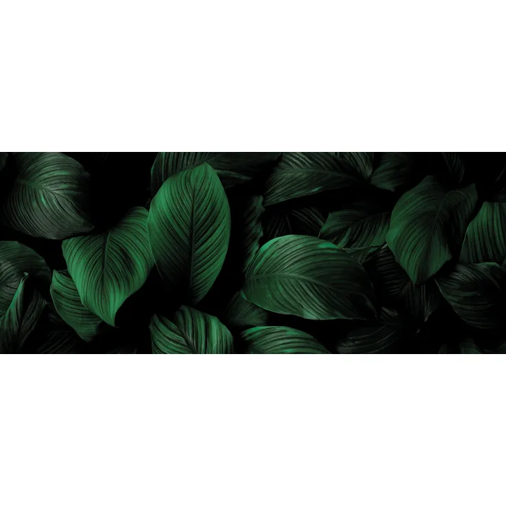 Leinwandbild Palmenblatt Grün Schwarz 100x40 DD123224 Wandbild Leinwand