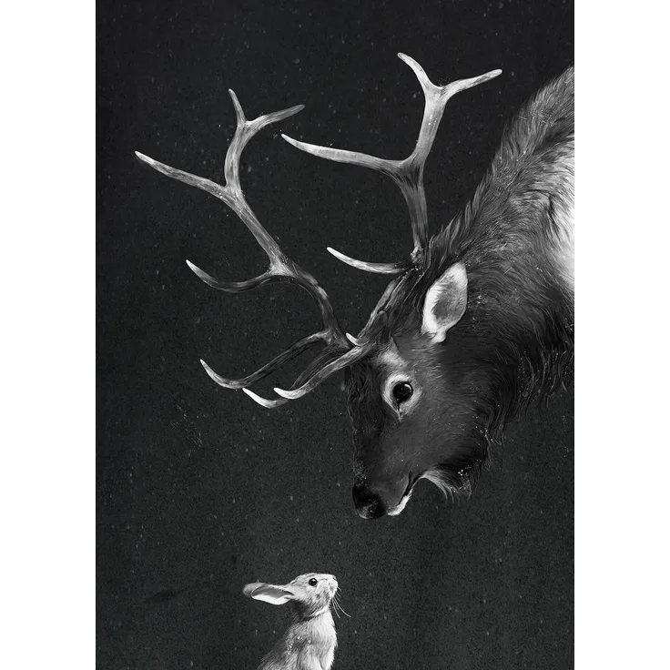 Leinwandbild Wildtiere Schwarz Weiß 50x70 DD123174 Wandbild Leinwand Reh Hase