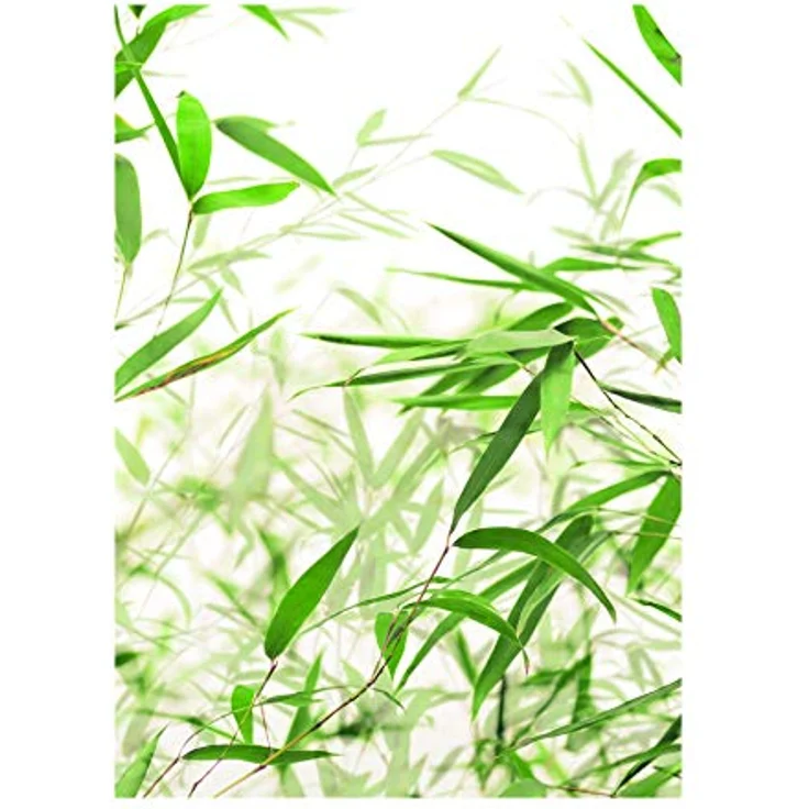 Komar Wandbild Bamboo Leaves, Kunstdruck auf hochwertigem Fotopapier, 30 x 40 cm, ohne Rahmen, made in Germany – Bild 1