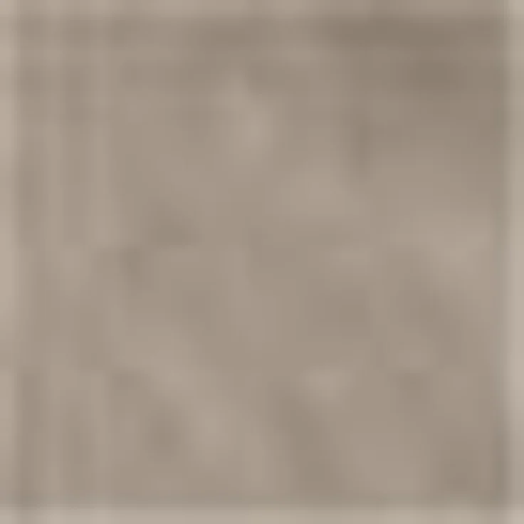 SCHÖNER WOHNEN-Kollektion Fellteppich Tender, rechteckig, Höhe: 26 mm, besonders weich durch Microfaser, Kunstfell, waschbar, Wohnzimmer – Bild 3