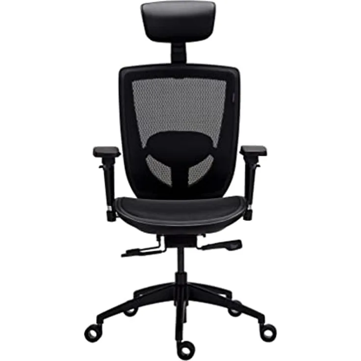 Tesoro Alphaeon E3 Ergonomischer Bürostuhl (DuPont™ Tpee Mesh)