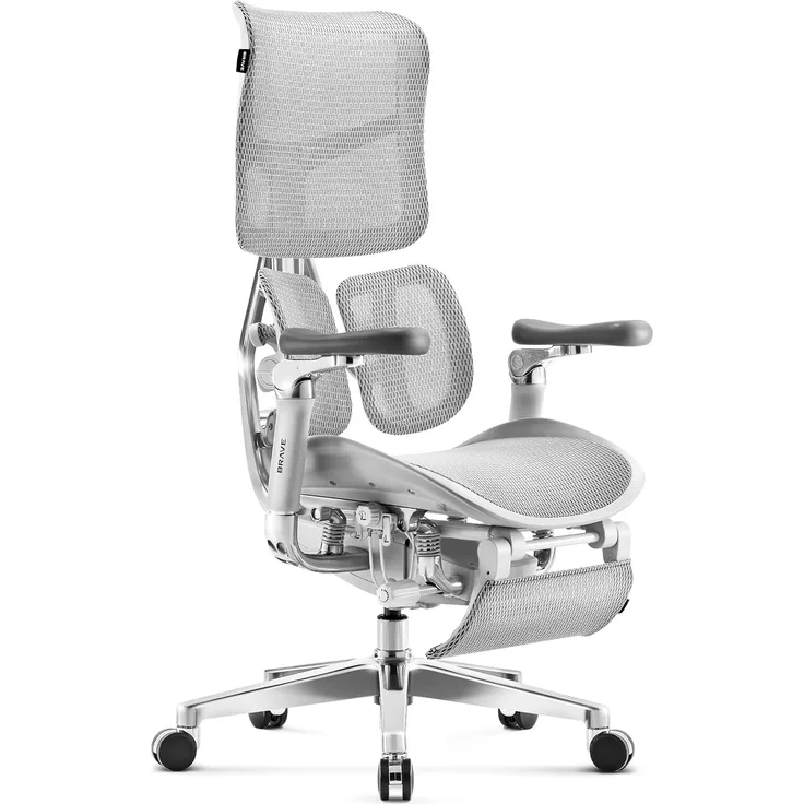 Diablo Brave V-Kinetic Bürostuhl Ergonomisch Schreibtischstuhl Chefsessel mit Fußstütze 5D Armlehnen Netzstoff Lendenwirbelstütze Verstellbarer Sitz Belastbar bis 120 kg (Grau)