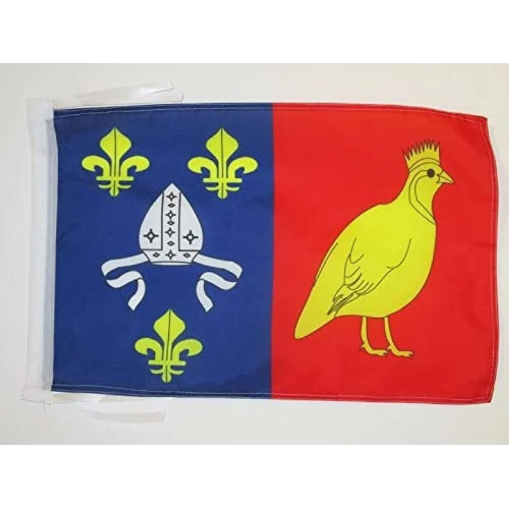 AZ FLAG - Flagge Département Charente Maritime - 45x30 cm Mit Kordel - Charente Maritime Fahne 30 x 45 Cm - Flaggen