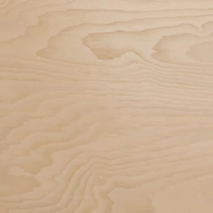 Esszimmerstuhl Bretoka C, Stuhl aus Buchenholz für Küche, Restaurant (Buche / Magic Velvet 2250) – Bild 6