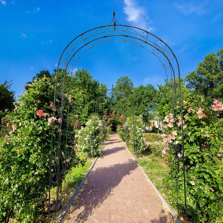 KADAX Metall-Garten-Pergola-Bogen für Blumen, Rosen, Kletterer, 281 cm – Bild 2