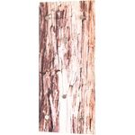 Garderobenleiste Wandgarderobe Motiv Baumrinde Sicherheitsglas mit Printmotiv 6 Haken Edelstahllook