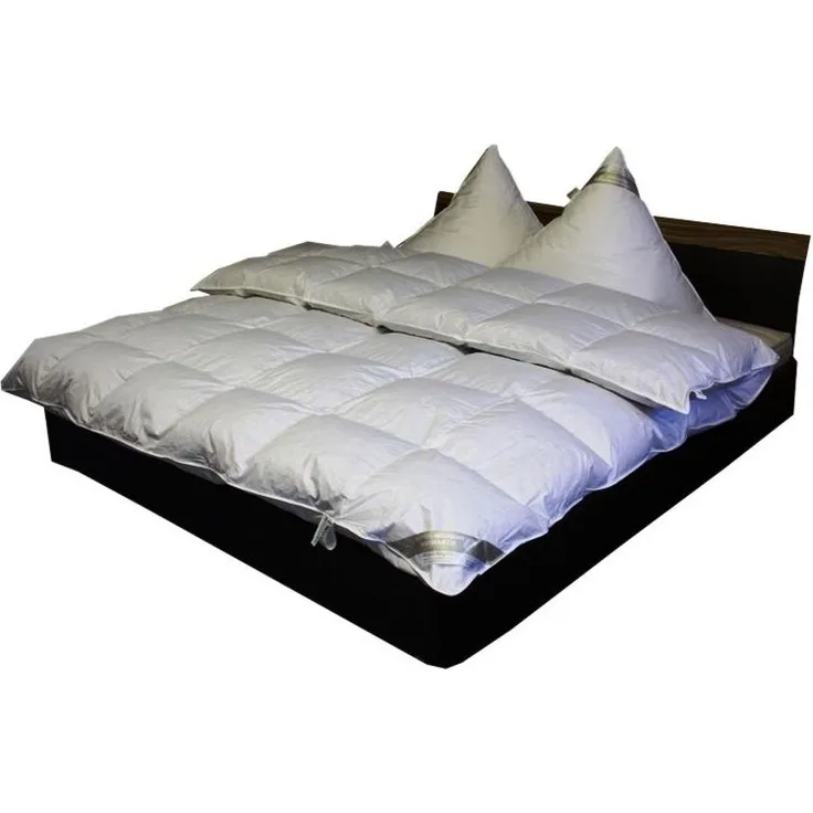 Hofmann´s 8cm Winter Kassetten Daunenbett Daunendecke 200x200 100% Daunen