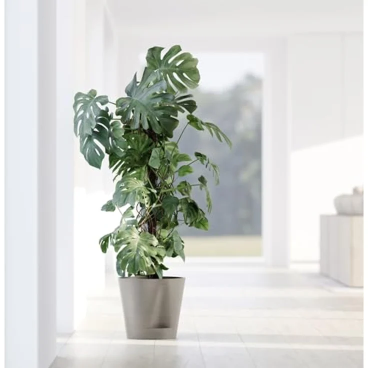 ECOPOTS Blumentopf Venice 2 40 Taupe, für den Innenbereich – Bild 5